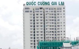 Quốc Cường Gia Lai và nhiều doanh nghiệp bán tài sản