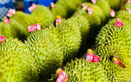 Indonesia đặt mục tiêu đạt 8 tỷ USD xuất khẩu sầu riêng sang Trung Quốc