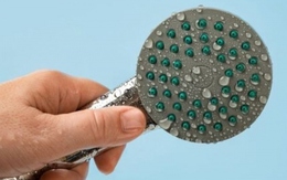 Chuyên gia cảnh báo những hiểm họa sức khỏe từ vòi hoa sen nhiều người chưa biết