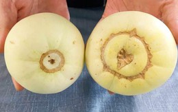 Dưa lê có một bộ phận càng to, quả càng thơm ngọt: Chọn kiểu này thì 10 quả như 1