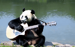 Trung Quốc công bố AI tạo video đáp trả Sora của OpenAI: Tạo video Full HD siêu thực chỉ từ văn bản