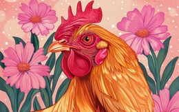 Tử vi tuần mới (10/6 - 16/6): 4 con giáp có sự nghiệp thăng hoa, tình yêu ngọt ngào