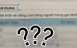 Học sinh tiểu học chỉ dùng 6 từ mà "bóc phốt" cả mẹ lẫn dì: Đọc xong giận lắm mà không cãi lại nổi