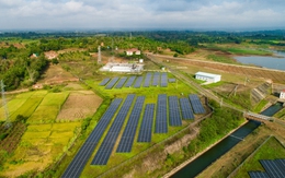 DN đứng sau dự án điện sạch duy nhất ở Việt Nam được chọn cung cấp tín chỉ carbon cho Olympic Paris 2024