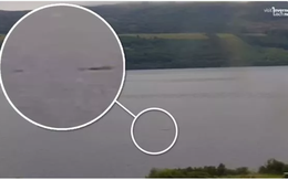 Phát hiện sinh vật bí ẩn to bằng chiếc Ford Transit dấy lên nghi vấn về "quái vật hồ Loch Ness"