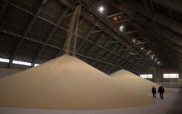 Trung Quốc hạn chế xuất khẩu, món hàng này của Việt Nam được cả thế giới săn lùng: Thu về hàng trăm triệu USD, là "cứu tinh" cho nhiều nước châu Á