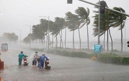 Áp thấp nhiệt đới có thể mạnh lên thành bão, Quảng Ninh, Hải Phòng khẩn cấp ứng phó