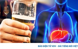 Uống bia mỗi ngày, cơ thể bạn sẽ biến đổi thế nào?