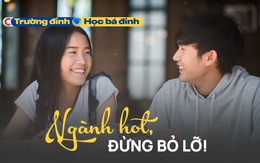 Ngành học được coi là ‘vua' của các ngành nghề, nhu cầu tuyển dụng cao trong vài năm tới: Thu nhập từ vài chục đến hàng trăm triệu đồng