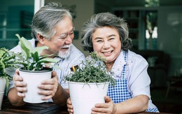 Con dâu xây nhà cho vợ chồng tôi, ngày vào nhà mới, biết số tiền con bỏ ra mà tôi sững sờ