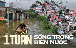 Một tuần sống cùng nước lũ của người dân ngoại thành Hà Nội: Chèo thuyền đi chợ, thả lưới bắt cá trước nhà