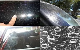 Mẹo tẩy đốm nước bám trên xe sau khi đi mưa
