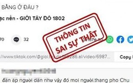 Thông tin sai sự thật, Tiktoker nổi tiếng bị xử phạt