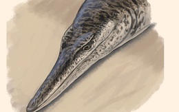 Phát hiện quái vật biển 140 triệu tuổi ở Đức