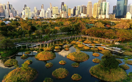 Lũ lụt bủa vây, phá huỷ cả đê kiên cố, Trung Quốc nhờ Mẹ Thiên nhiên cứu vãn tình thế, biến đô thị thành "bọt biển khổng lồ" thấm nước