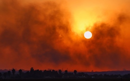 Hamas bác bỏ đề xuất ngừng bắn của Mỹ, cáo buộc Israel cản trở thỏa thuận