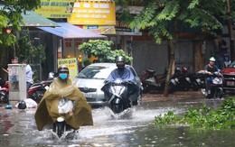 Cơn mưa dông bất chợt, đường phố nhanh chóng ngập thành sông, cây đổ hàng loạt