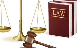 Tạm đình chỉ công tác Phó Bí thư, Chủ tịch huyện