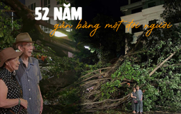 Cây đa 52 tuổi ở phố Phan Đình Phùng bật gốc: Chồng trồng trong sinh nhật vợ, tạm biệt món quà tình yêu gần bằng 1 đời người