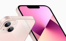 Ra mắt iPhone 16, Apple khai tử, giảm giá một loạt mẫu iPhone cũ