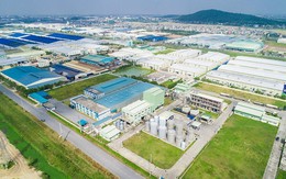 Một tỉnh sắp có nhà máy 300.000m2 sản xuất mặt hàng Việt Nam xuất khẩu top 2 TG, DN đầu tư 2.500 tỷ là ai?