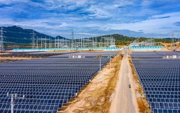 Hưởng giá ưu đãi 9,35 Uscents/kWh thay vì giá 7,09 Uscents/kWh, nhà máy điện của Trung Nam Group gây thiệt hại cho EVN hơn 900 tỷ đồng