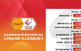 CLB CAHN nhận án phạt trước vòng 2 V-League 2024/2025