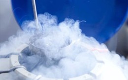 Trào lưu trữ đông trứng ở người trẻ