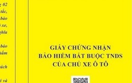 Chủ xe gây tai nạn có được bảo hiểm bồi thường?