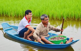 25 tuổi bỏ việc văn phòng, thạc sĩ Luật rủ nhóm bạn thân về quê trồng lúa hữu cơ ST25 “chuẩn 4 sao”, kêu gọi hàng chục nông dân là cô dì chú bác, xóm giềng lập Hợp tác xã