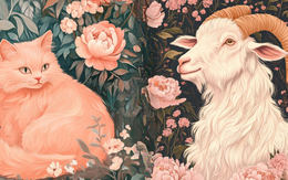 Tử vi tuần mới (9/9 - 15/9): 3 con giáp "hốt sạch" may mắn của thiên hạ, công việc lẫn tình yêu đều viên mãn