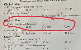 Bài toán tiểu học khiến phụ huynh cũng phải "đứng hình"