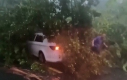 Khung cảnh hoang tàn sau khi bão Yagi càn quét ven biển Trung Quốc