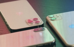 Mua sắm iPhone cũ hãy làm điều này nếu không muốn thành “cục gạch xa xỉ”
