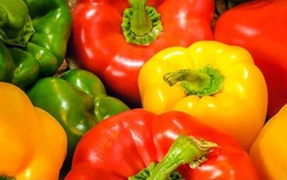 Chợ Việt có loại quả đa màu sắc là "kho vitamin C", cực tốt sức khỏe và sắc đẹp