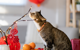 Tết Dương lịch 2025: 3 điều không nên làm để đón năm mới dồi dào tài lộc