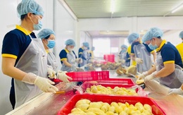 Loại quả mang về 3,2 tỷ USD cho Việt Nam năm 2024, người Trung Quốc mê mẩn: Vô số lợi ích
