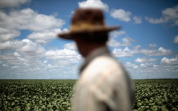 Trung Quốc đã sẵn sàng ‘ăn miếng trả miếng’ nếu hứng đòn thuế: Tích trữ kỷ lục mặt hàng then chốt của Mỹ, chuyên gia gióng chuông báo động trước thềm ông Trump nhậm chức