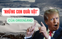 ‘Con quái vật’ của Greenland - hòn đảo cực lớn mà ông Trump lần thứ hai muốn thâu tóm