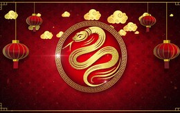 Chuyên gia dự đoán tài vận, sức khỏe và tình duyên của 12 con giáp năm 2025: Con giáp nào giàu có nhất?