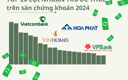 Ngôi vương đổi chủ trong Top20 lợi nhuận 2024, mình tỷ phú Phạm Nhật Vượng 'địch lại' nhóm ngân hàng