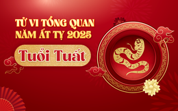 Tử vi tổng quan tuổi Tuất năm Ất Tỵ 2025: Tài lộc rực rỡ, tình duyên viên mãn nhưng cần chú ý sức khỏe