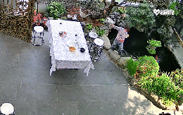 Thót tim khoảnh khắc bé trai bất ngờ rơi xuống hồ cá Koi trong khuôn viên nhà, clip 40 giây khiến nhiều người tranh cãi vì 1 chi tiết