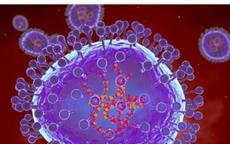 Bộ Y tế thông tin về dịch bệnh gây viêm phổi trên người tại Trung Quốc