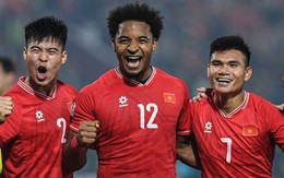 Đội tuyển Việt Nam bất ngờ có thêm kỷ lục sau chức vô địch ASEAN Cup 2024