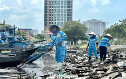 Rác thải ken đặc bãi biển Đà Nẵng sau bão