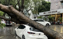 Một doanh nghiệp bảo hiểm ghi nhận 226 vụ tổn thất do bão số 10, bồi thường cao nhất 700 triệu đồng/trường hợp