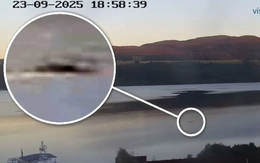 Gặp 'thủy quái' to như xe buýt bơi trên mặt hồ, thợ săn nói: Những gì tôi thấy là độc nhất vô nhị