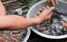 5 món Việt khiến khách Tây sợ "xanh mặt", dân sành ăn lại coi là đặc sản quý