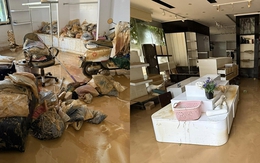 "Mất 600 triệu khi nước rút, làm gì còn nước mắt mà khóc"